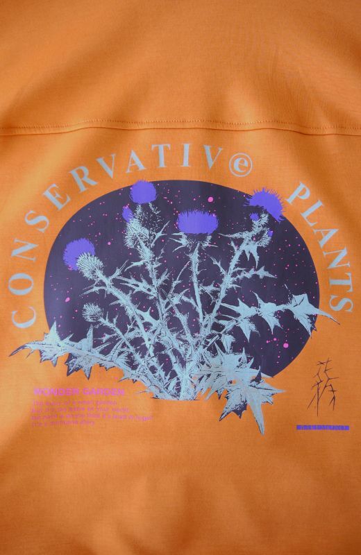 Conservative Thistle MA-1