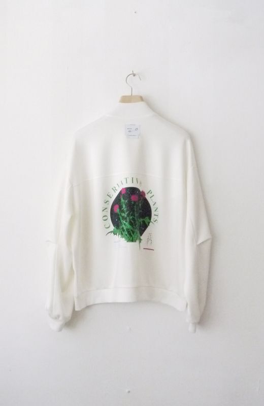 Conservative Thistle MA-1